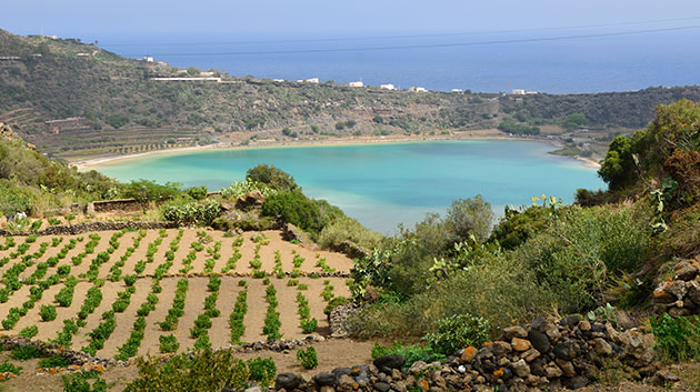 Pantelleria Offerte